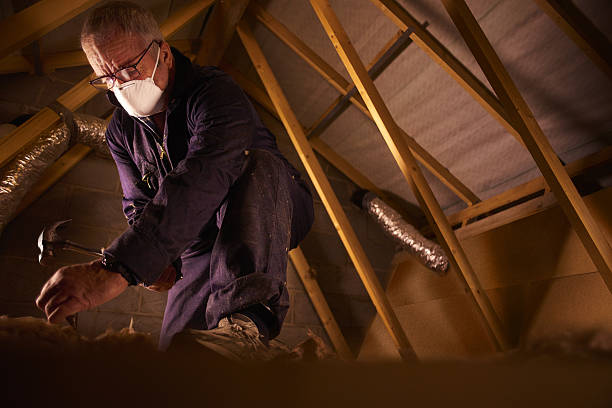 Best Insulation Materials and Products in Chico, TX