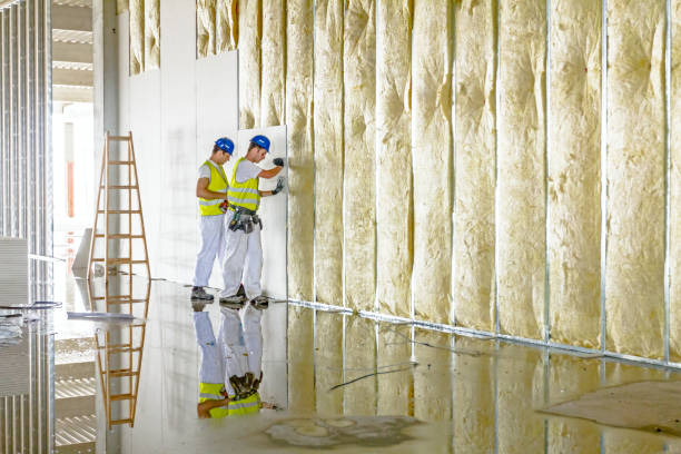 Best Insulation Installation Services in Chico, TX